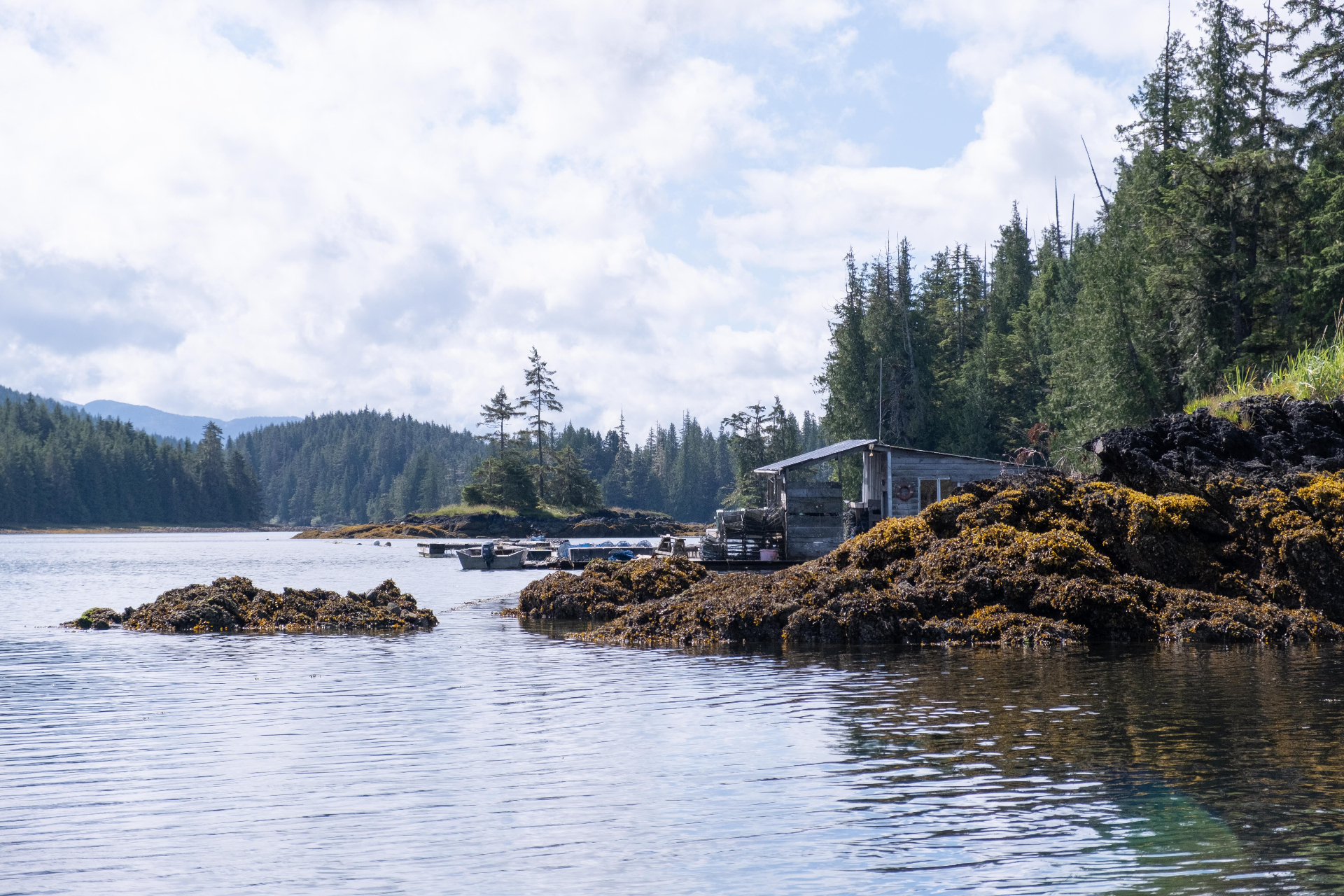 Coastal inlet with cabin and forested shoreline
