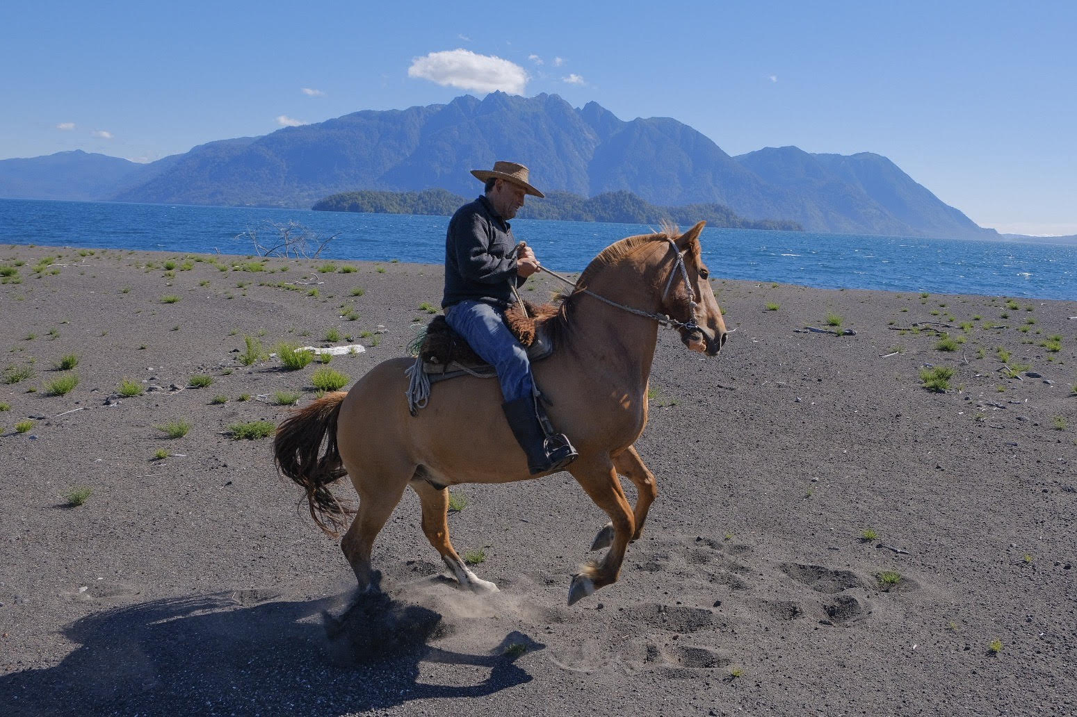 Rider galloping along a lakeshore